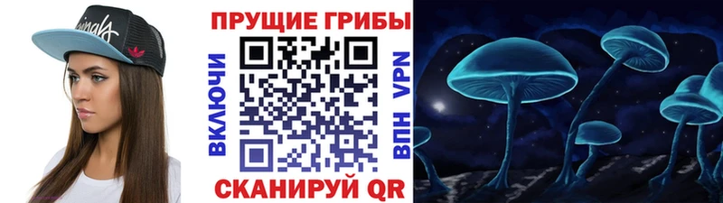 Галлюциногенные грибы Magic Shrooms купить Миасс